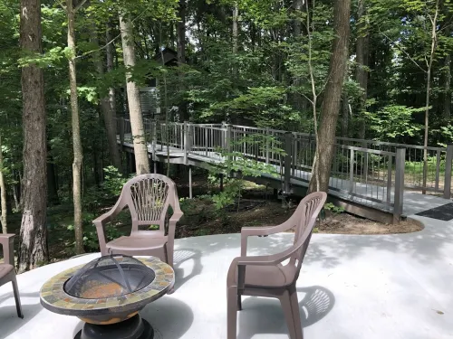 Be at home in the trees.