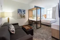 SpringHill Suites Minneapolis Maple Grove/Arbor Lakes - Pool