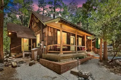 IdyllAway Vintage Cabin - Kid Friendly Sledding Cul-de-Sac! Hotels near Idyllwild Nature Center