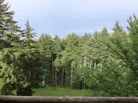 19 Loggers Run Ski-in/Ski-out Steps Away from Upper Flume TrailGarage MTNbikes 에드레이 호텔