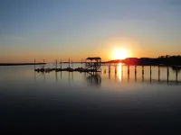 Scallop and Fishing Paradise