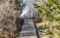 3-bedroom Cape Cod ranch just steps to private beach or Cooks Brook public beach - 3-Star