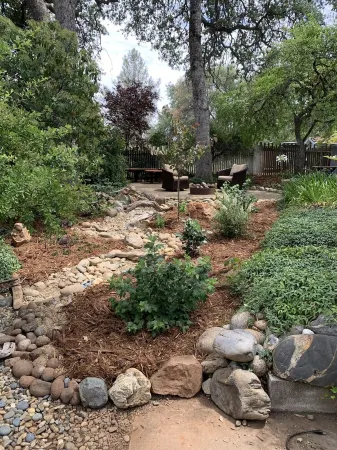 Robin's Nest - Cozy & quiet guest house minutes from historic downtown Mariposa