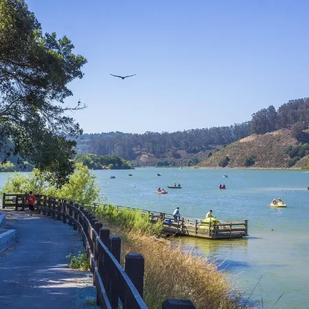 Recently Updated Private Studio w/ Separate Entrance Near Lake Chabot