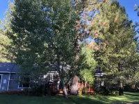 Charming, Cozy, Cottage. Location Perfect for Outdoor enthusiasts and Couples