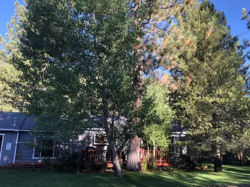 Charming, Cozy, Cottage. Location Perfect for Outdoor enthusiasts and Couples