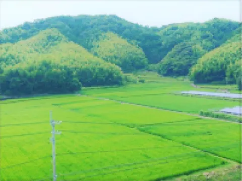 ベイサイドホテル龍宮 阿南市のホテル