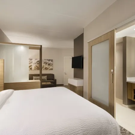 SpringHill Suites Allentown Bethlehem/Center Valley