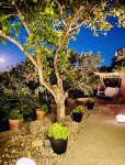 Stunning Ocean & Coastal Views ~Close to all