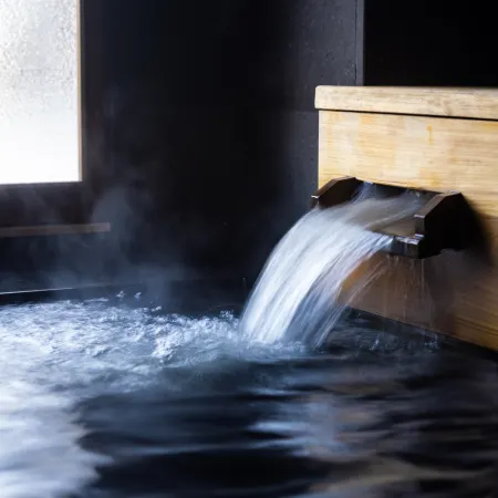 Hitoyoshi Onsen Shirasagiso