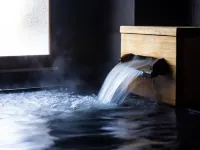 Hitoyoshi Onsen Shirasagiso - น้ำพุร้อน