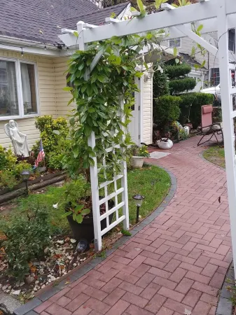 Cozzy Get Away Priv. Apt/ St BarnabaS Hosp/NYC/EWR