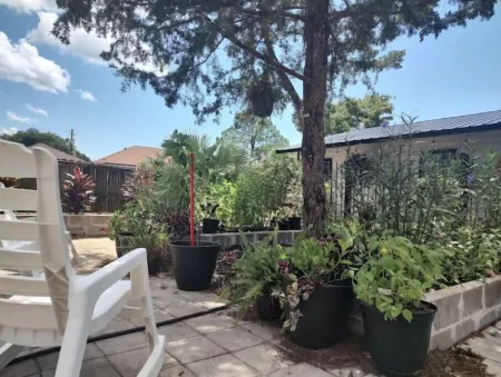 Jazz Studio -2 blocksToPalafoxSt