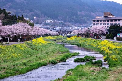 ホテル周辺 和モダンな温泉旅館 湯布院らんぷの宿の写真