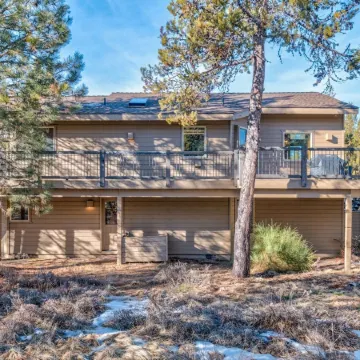 Paper Birch - Unit 10