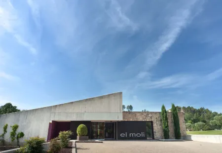 Hotel El Molí Отели в г. Дарниус