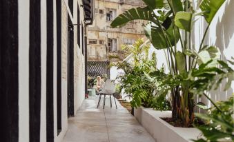 Colorbox - by Loginn Tel-Avivian Hotels