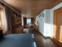 Apartment in Hochfugen With a Terrace