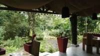 Hotel Finca L’Étoile Celeste Hotels near Tapir Valley Nature Reserve