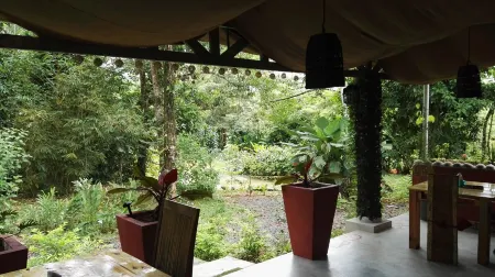 Hotel Finca L’Étoile Celeste Отели в г. Гуатусо