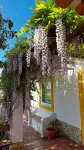 Casal Serrano Charm and Tranquility