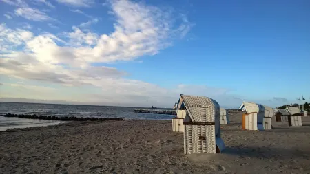 Spacious beach apartment in a quiet location with pool and sauna