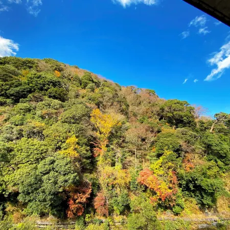 Hakone Pax Yoshino