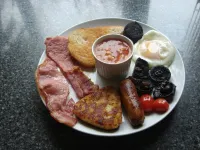 Castle Lodge - Brecon Beacons Accommodation Hotels in Brecon