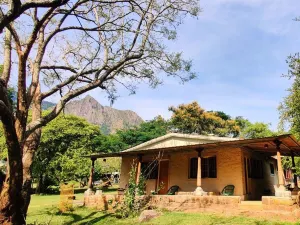 Jungle Hut
