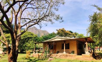 Jungle Hut