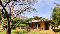 Jungle Hut