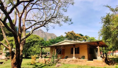 Jungle Hut