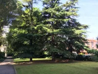 Bed and Breakfast Bio Salix Hotel a Campodarsego