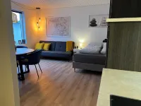 Cozy Flats Silkeborg - S3 Hotels in Silkeborg