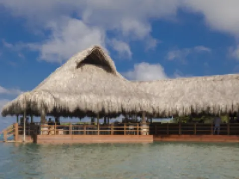 Hotel Las Islas Hotels near Isla Barú