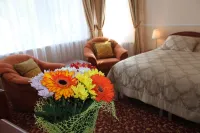 Spa Hotel Purkyně Hotels in 