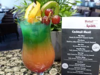 Hotel am Kurpark Späth - bar