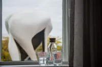 Boetiekhotel Villa Wanrooy Hotels in Varsseveld
