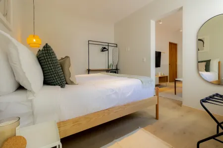 Capitalia Nuevo Polanco Отели рядом с достопримечательностью «Музей Института геологии УНАМ»