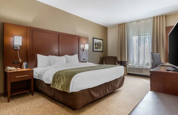 約翰遜城舒適套房酒店-近大學城