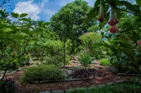 Hotel Vista del Cerro