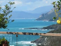 Hotel Martino - Ocean View