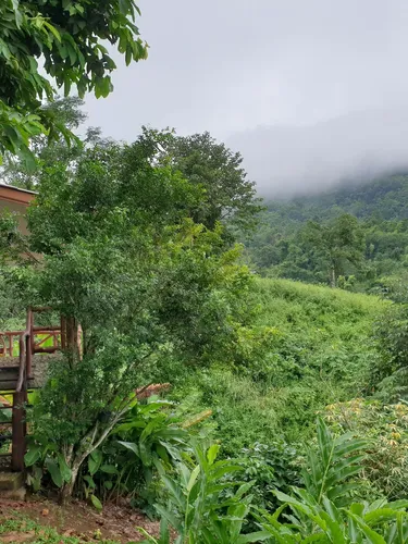 รูปภาพของสวนบนคอทเทจ