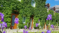 Le Beaugency