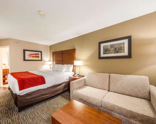 Comfort Inn Greenville - Haywood Mall Hotels near Gower Estates Park