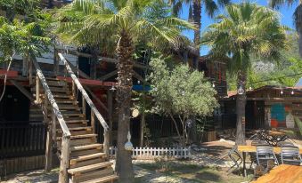 Kadir's Family House