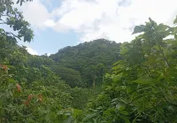 Cabaña Nuisuni