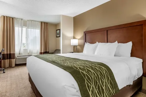 Comfort Inn & Suites Dimondale - Lansing Hotels in Eaton County