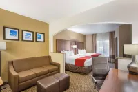 Comfort Suites Ogden Conference Center - spa