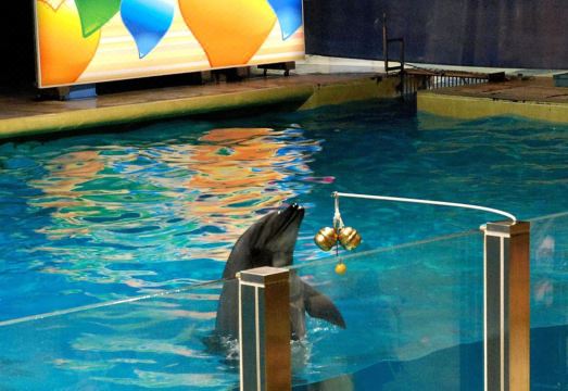 토요코인 아오모리 에키 소멘 구치